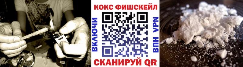 Кокаин Fish Scale  Купить закладки  Куртамыш 