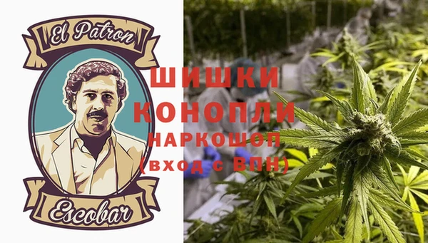 apvp Осинники