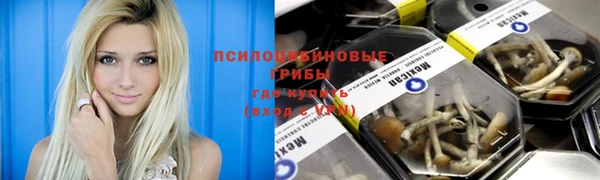 кокс Гусиноозёрск