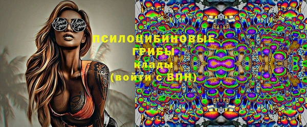 apvp Осинники