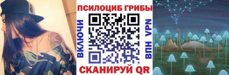 Псилоцибиновые грибы мухоморы  Купить  Куртамыш 