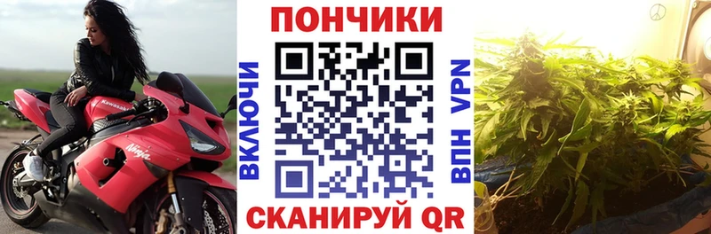 Марихуана VHQ  Купить закладки  Куртамыш 